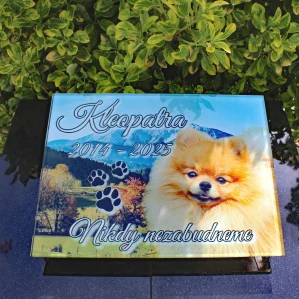 Neosvetlená 40x30cm farebná tabuľka pre zvieratko 
