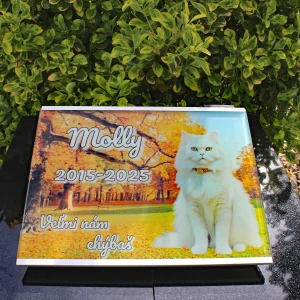 Neosvetlená 30x25cm farebná tabuľka pre zvieratko 