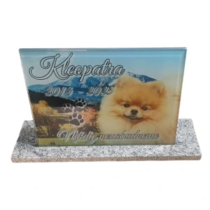 Neosvetlená 30x25cm farebná tabuľka na kamennom podstavci pre zvieratko 