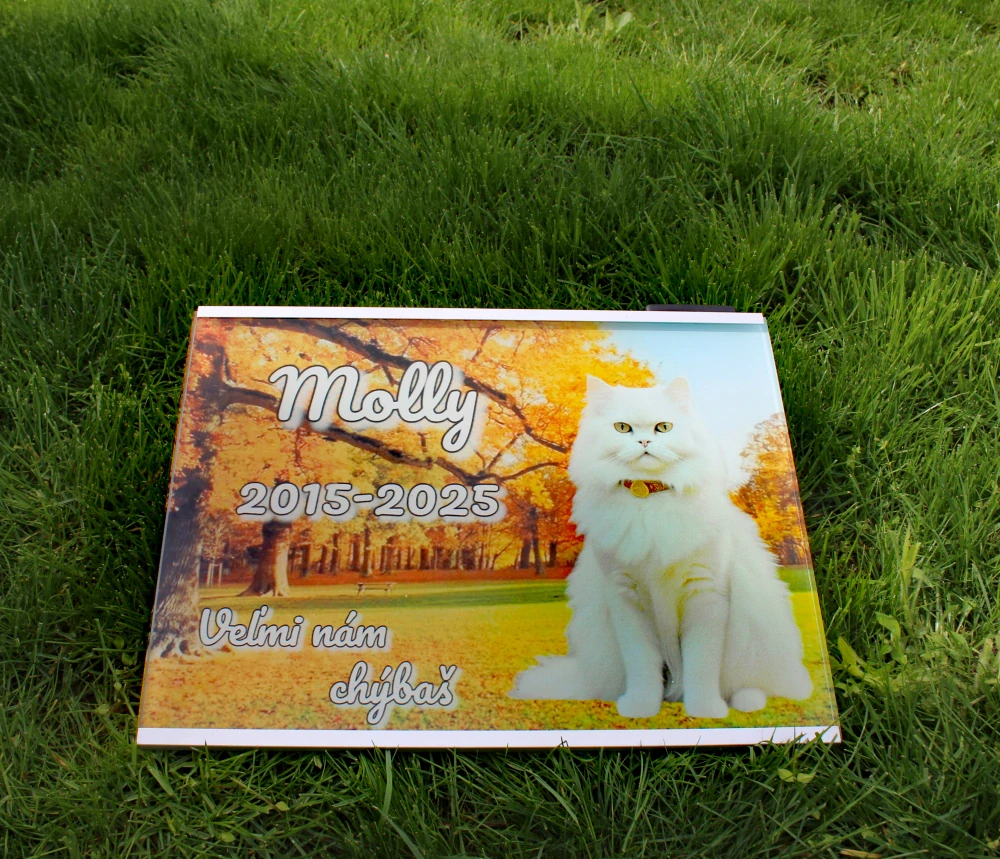 Osvetlená 40x30cm farebná tabuľka pre zvieratko