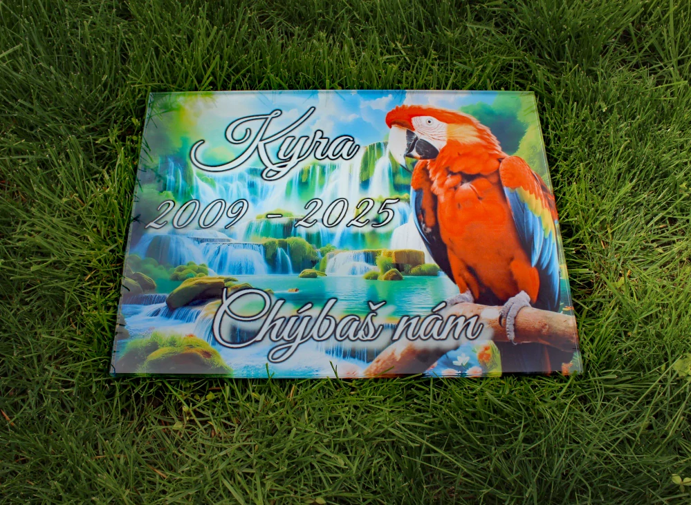 Neosvetlená 30x25cm farebná tabuľka pre zvieratko 