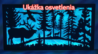 Osvetlený LED obraz na mieru